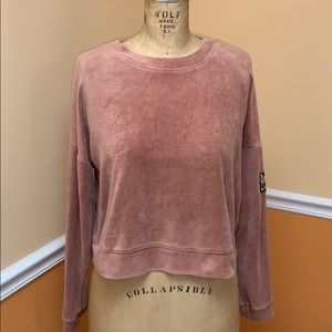 Velvet cropped crewneck with embroidered rose